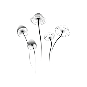 Mushrooms Tattoo