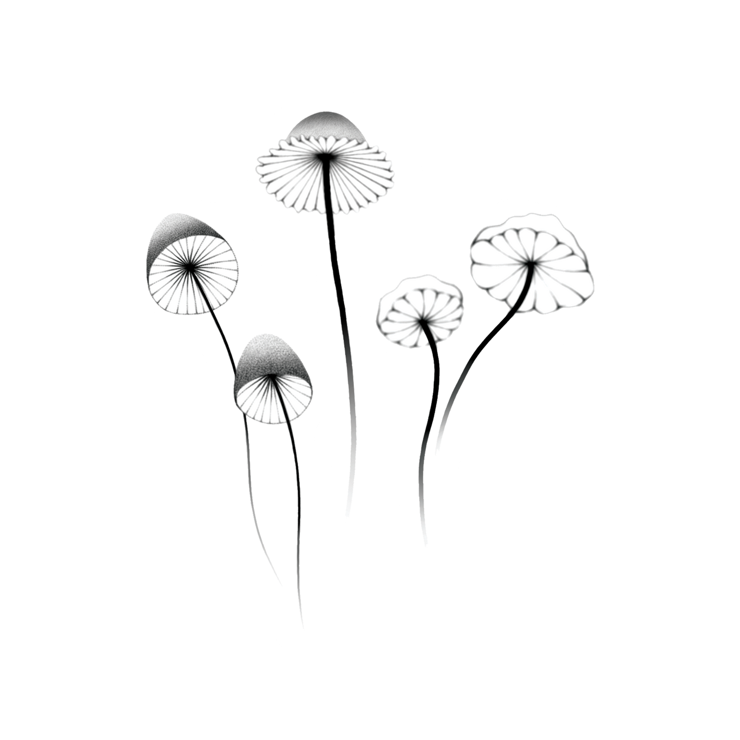 Mushrooms Tattoo