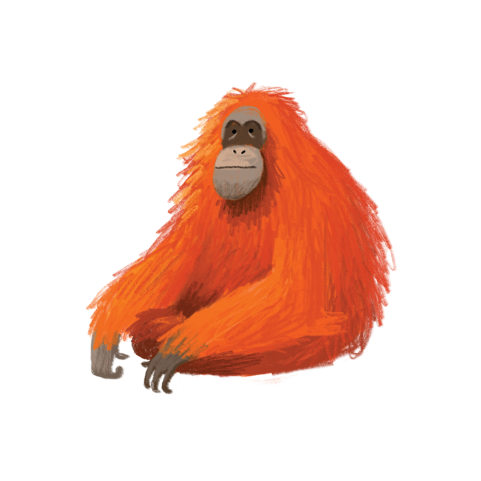 Orangutan Tattoo