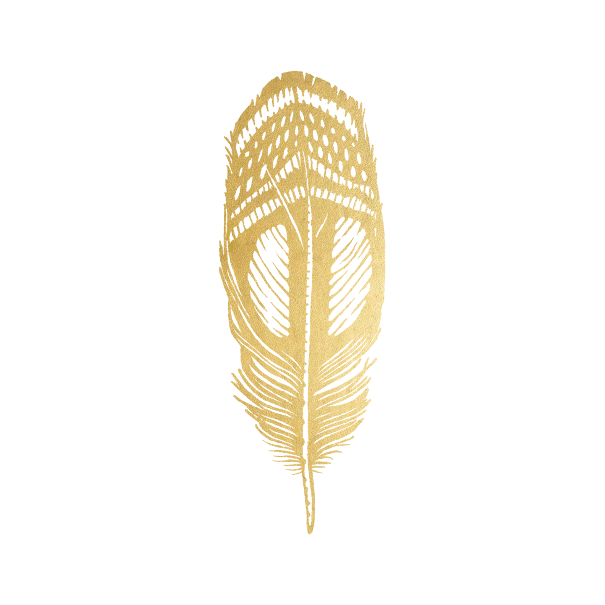 Quail Feather (Gold) by Jen Mussari from Tattly Temporary Tattoos – Tattly  Temporary Tattoos & Stickers
